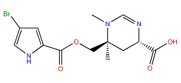 N-Methylmanzacidin C